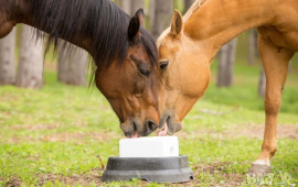 Минерални блокчета