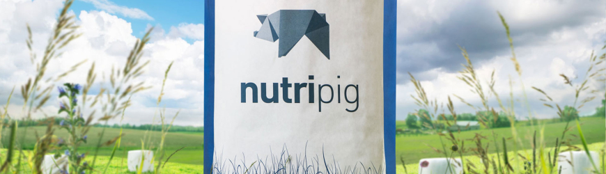 NutriPig